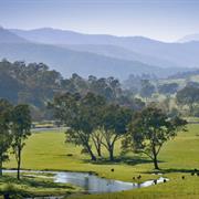 Burrowa Pine Mountain National Park (VIC)