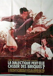 Can Dialectics Break Bricks? (1973)