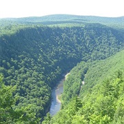 Pine Creek Gorge, Pennsylvania