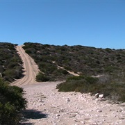 Track to Steep Point