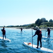 Go Paddle Boarding