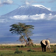 Kilimanjaro, Tanzania
