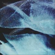 The Austrasian Goat - Stains of Resignation