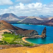 Go Wild in the Galapagos