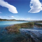 Vrana Lake Nature Park, Croatia