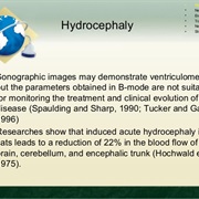 Hydrocephaly