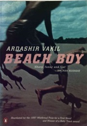 Beach Boy (Ardashir Vakil)