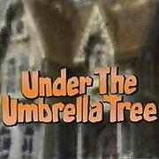 Under the Umbrella Tree
