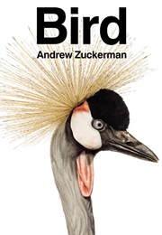 Bird (Andrew Zuckerman)
