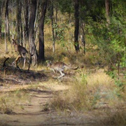 Belford National Park (NSW)