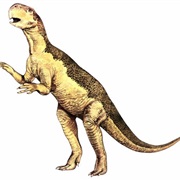Psittacosaurus
