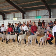 Columbia County Fair (Dayton)