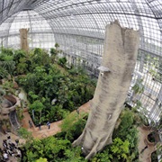 Botanischer Garten Berlin