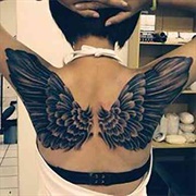 Wings