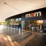 Museu De Arte Moderna