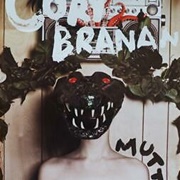Cory Banan - MUTT