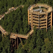 Stezka Korunami Stromů / Treetop Walkway Czech Republic