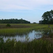 North Inlet-Winyah Bay National Estuarine Research Reserve