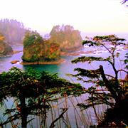 Cape Flattery