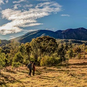 Minjary National Park (NSW)