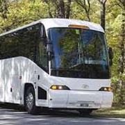 Coach Tour