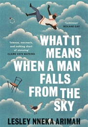 What It Means When a Man Falls From the Sky (Lesley Nneka Arimah)