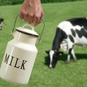 Go on an Agriculture Tour