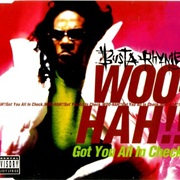 Woo-Hah!! Got You All in Check - Busta Rhymes