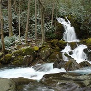 Mouse Creek Falls