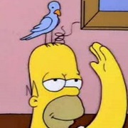 Homer's Bird