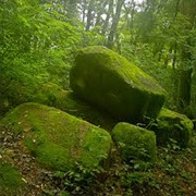 A Rolling Stone Gathers No Moss