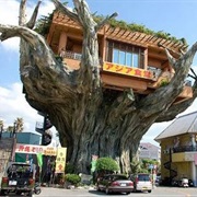Treehouse
