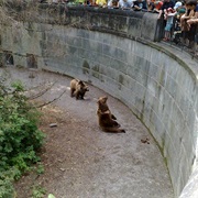 Bears of Bern