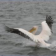 Claremont Isles National Park (QLD)