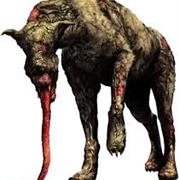 Dog (SH4)