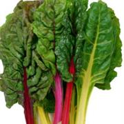 Swiss Chard