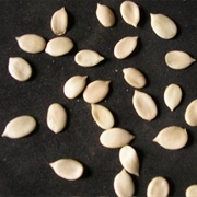 Egusi Seeds
