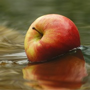 Find Out Which Objects Are Floating and Which Are Drowning in Water