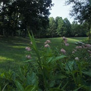 Washington County State Recreation Area, Illinois