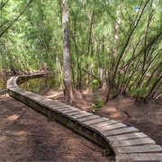 Oleta River State Park, Florida