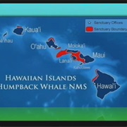 Hawaiin Islands Humpback Whale National Marine Sanctuary