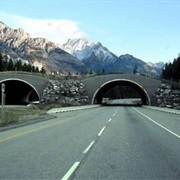 The Trans-Canada Highway Is the Longest Highway in the World