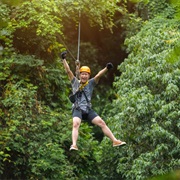 Zipline Over Rain Forest