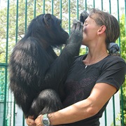 Parcs Forestier Et Zoologique De Hann, Senegal