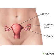 Hysterectomy