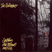 The Walkabouts - Setting the Woods on Fire