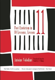 Post Exoticism in Ten Lessons, Lesson Eleven (Antoine Volodine)