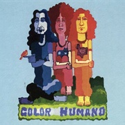 Vol. 2 Y 3 – Color Humano (1973)