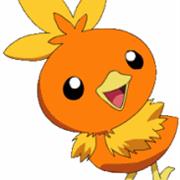 Torchic