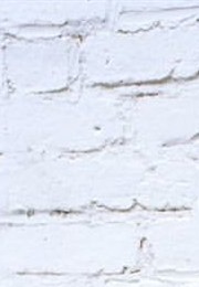 Watch the Skies (2019)